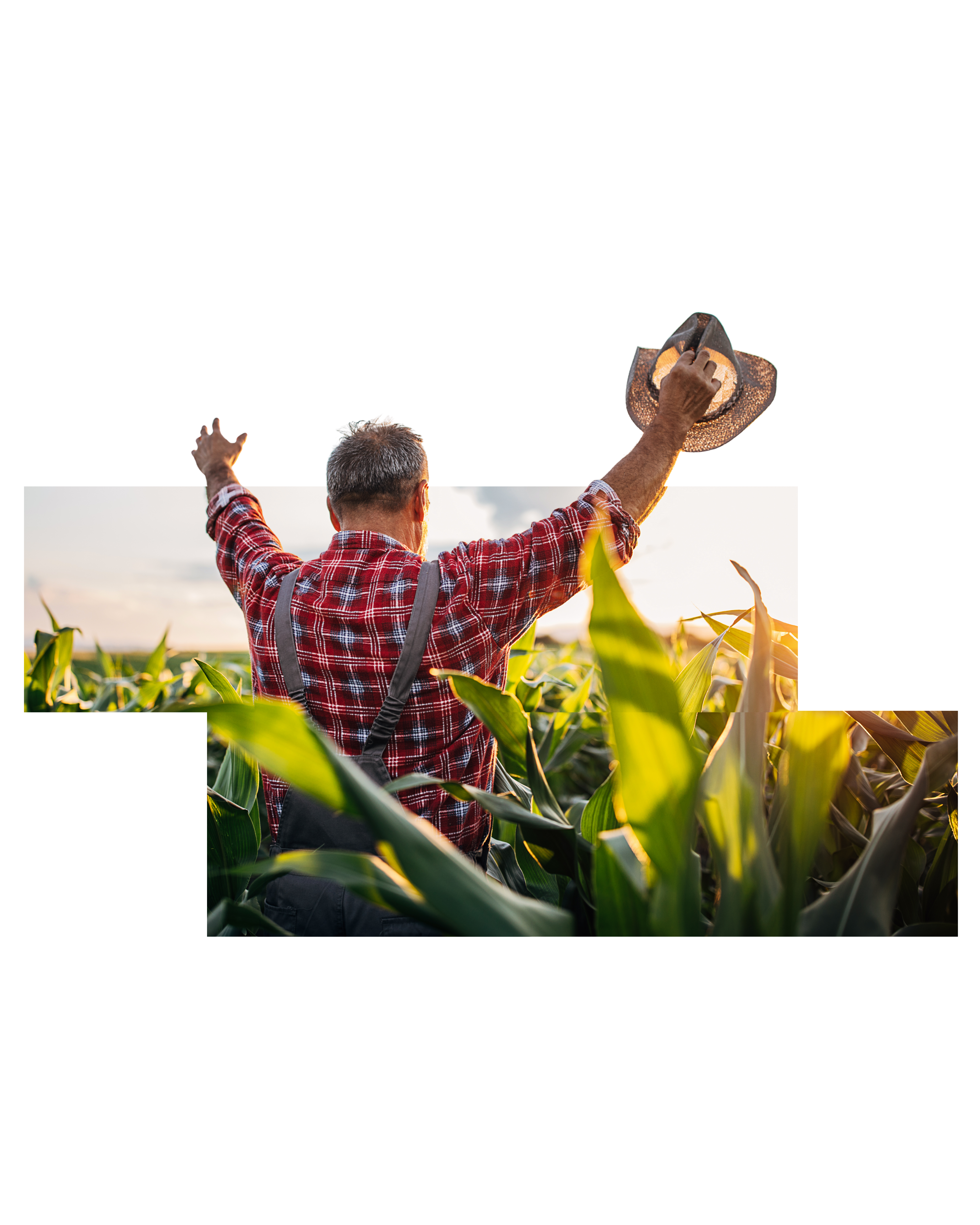 Agricultor BoviVac